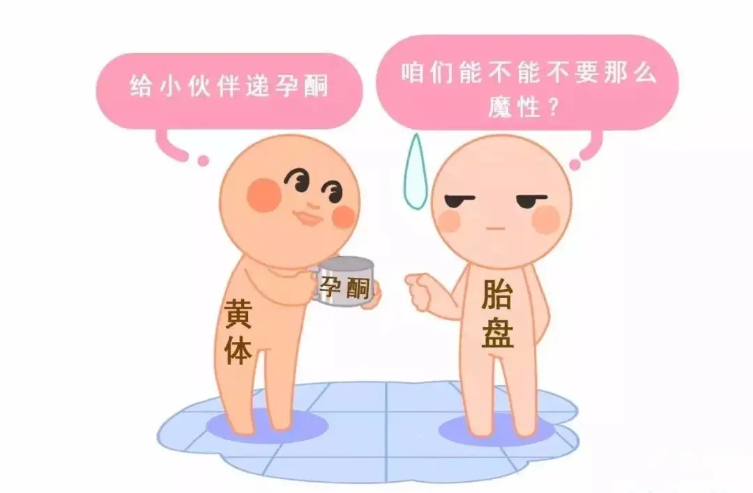 HCG和孕酮低一定會流產(chǎn)？備孕女性必須知道的孕早期“秘密”