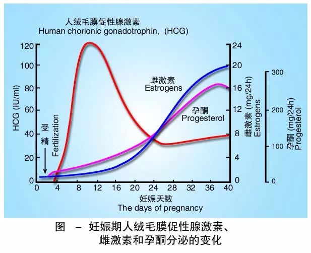 懷孕期間HCG低怎么辦？