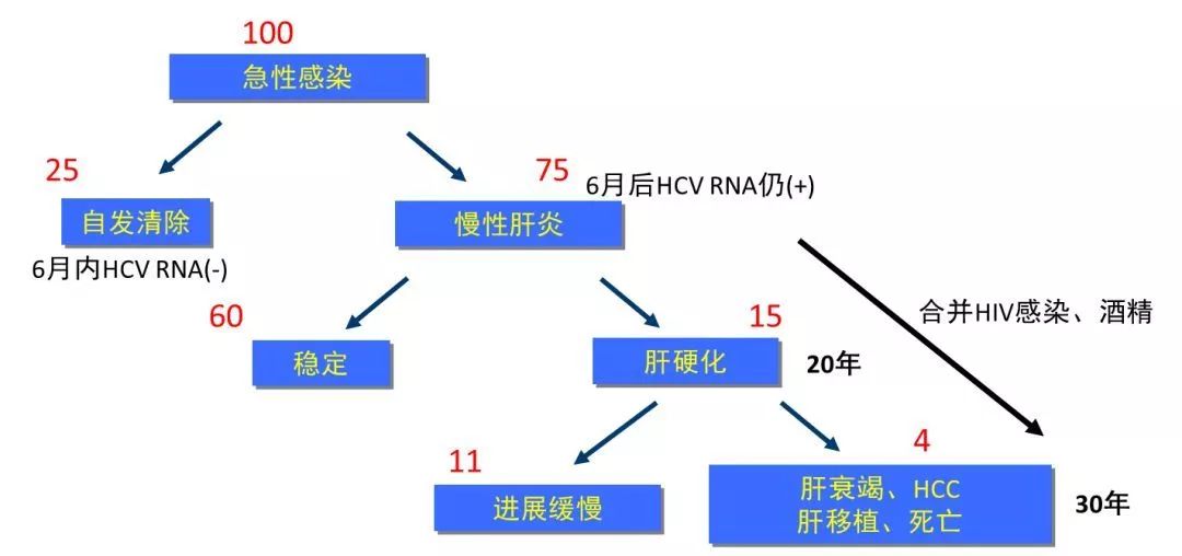 丙肝檢測(cè)的弱陽(yáng)性究竟是不是感染了丙肝？